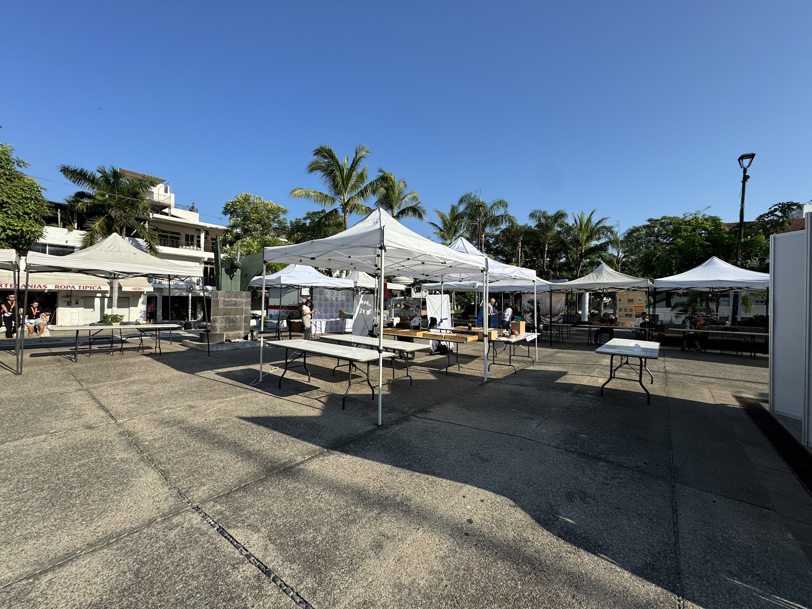 Puerto Vallarta hosts free Earth sciences fair